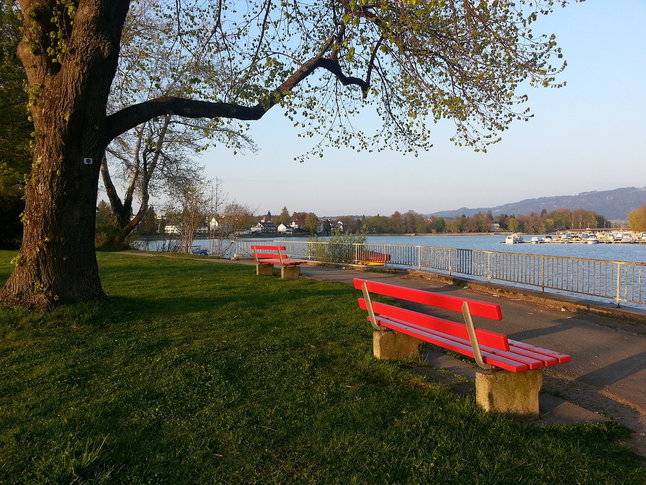 本赛季五大联赛失球榜：法兰克福37球居首，利物浦34球排第3